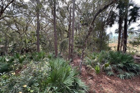 Terreno en venta en Geneva, Florida № 943678 - foto 8
