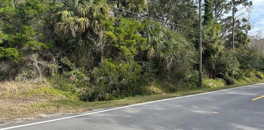 Terreno en Geneva, Florida № 943678
