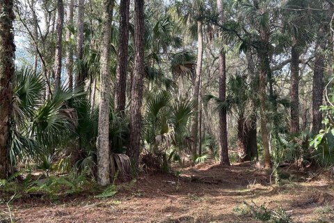 Terreno en venta en Geneva, Florida № 943678 - foto 3