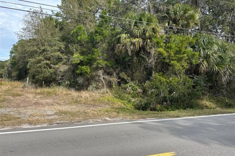 Terreno en venta en Geneva, Florida № 943678 - foto 5