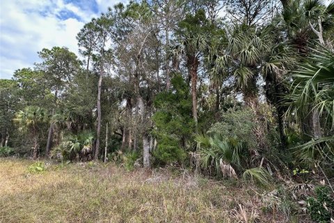 Terreno en venta en Geneva, Florida № 943678 - foto 6