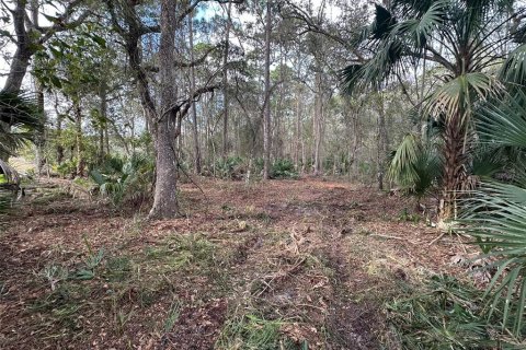 Terreno en venta en Geneva, Florida № 943678 - foto 4