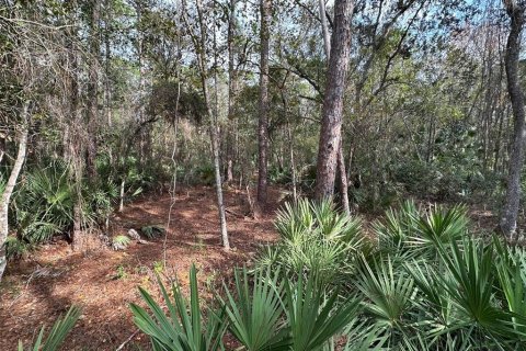 Terreno en venta en Geneva, Florida № 943678 - foto 7