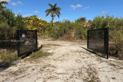 Commercial property in Florida City, Florida № 2046037 - photo 2