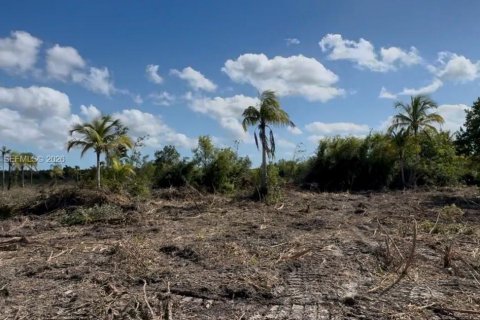 Commercial property in Florida City, Florida № 2046037 - photo 11