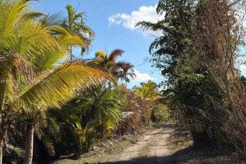 Commercial property in Florida City, Florida № 2046037 - photo 3