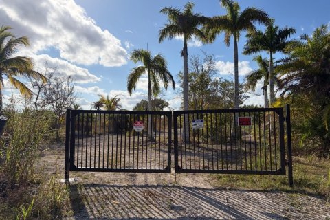 Commercial property in Florida City, Florida № 2046037