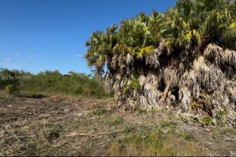 Commercial property in Florida City, Florida № 2046037 - photo 21