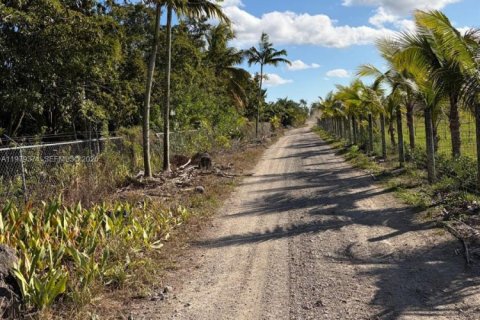 Commercial property in Florida City, Florida № 2046037 - photo 14