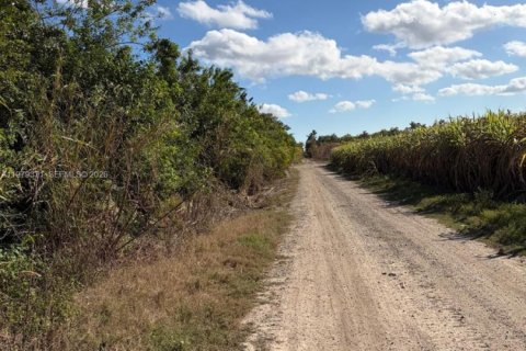 Commercial property in Florida City, Florida № 2046037 - photo 5