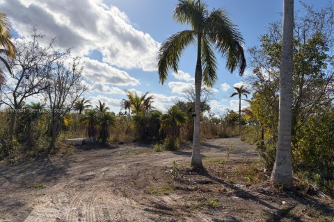 Commercial property in Florida City, Florida № 2046037 - photo 6