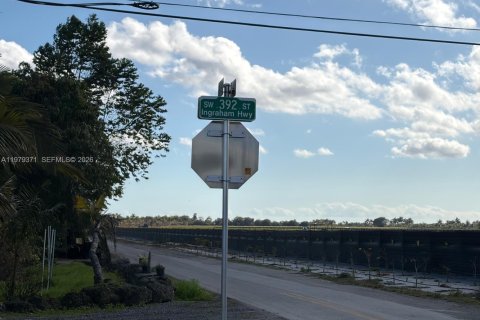 Commercial property in Florida City, Florida № 2046037 - photo 16