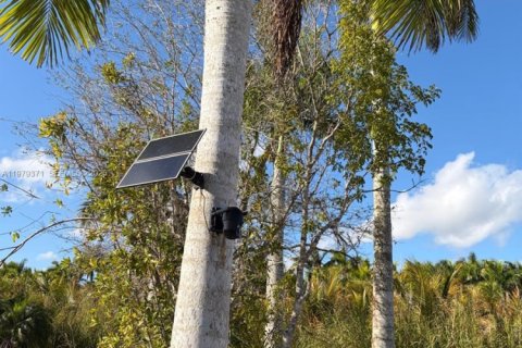 Commercial property in Florida City, Florida № 2046037 - photo 12