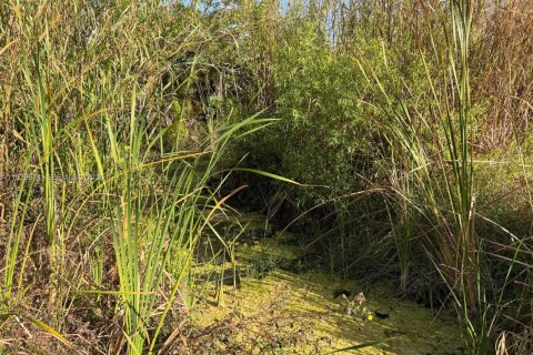 Commercial property in Florida City, Florida № 2046037 - photo 9