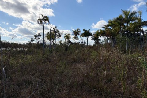 Commercial property in Florida City, Florida № 2046037 - photo 8