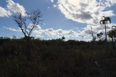 Commercial property in Florida City, Florida № 2046037 - photo 7