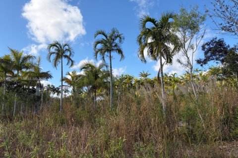 Commercial property in Florida City, Florida № 2046037 - photo 19