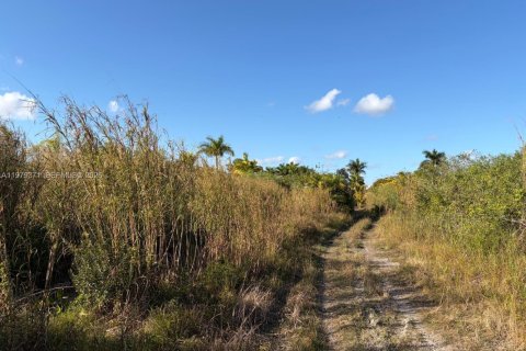 Commercial property in Florida City, Florida № 2046037 - photo 10