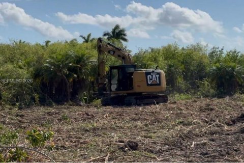 Commercial property in Florida City, Florida № 2046037 - photo 13