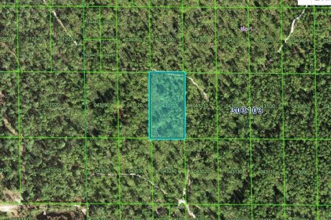 Land in Lake Wales, Florida № 2162258