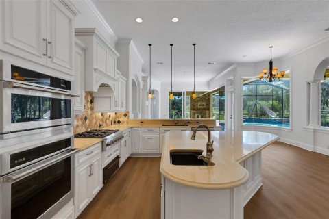 House in Lakeland, Florida 6 bedrooms, 482.44 sq.m. № 2419308 - photo 18