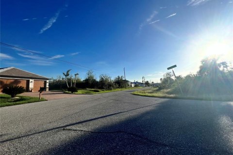Land in Port Charlotte, Florida № 2160124