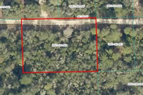 Land in Fort MC Coy, Florida № 2162468 - photo 3