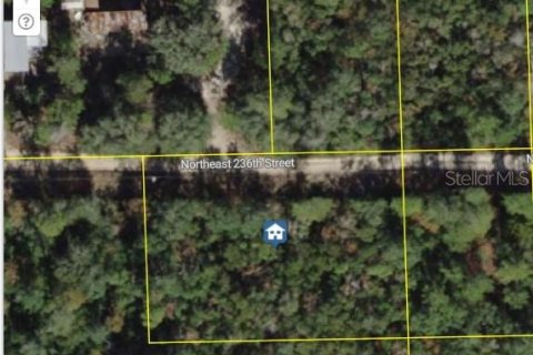 Land in Fort MC Coy, Florida № 2162468 - photo 2