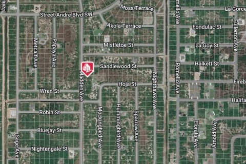 Land in Palm Bay, Florida № 2160159