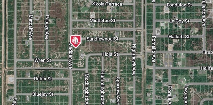 Land in Palm Bay, Florida № 2160159
