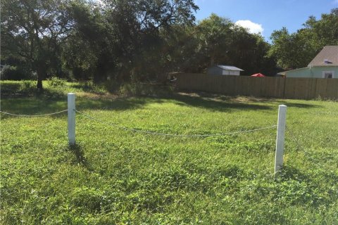 Land in Tarpon Springs, Florida № 241786 - photo 1