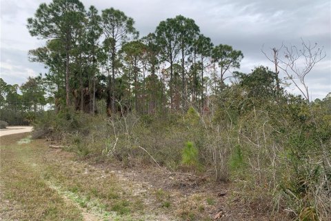 Land in Cedar Key, Florida № 2203653