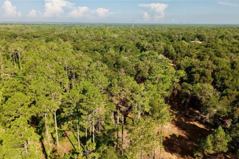 Casa en venta en Geneva, Florida, 2 dormitorios, 93.65 m2 № 2217600 - foto 10