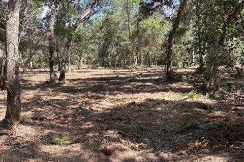 Casa en venta en Geneva, Florida, 2 dormitorios, 93.65 m2 № 2217600 - foto 16
