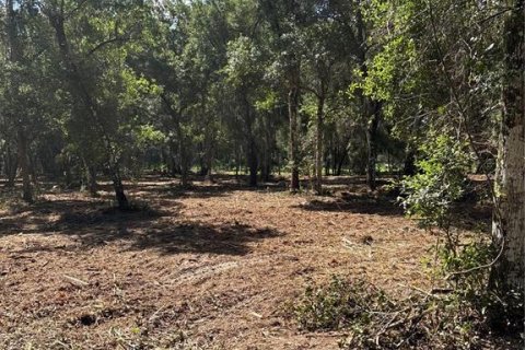 Casa en venta en Geneva, Florida, 2 dormitorios, 93.65 m2 № 2217600 - foto 17