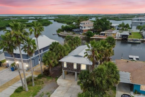 Villa ou maison à vendre à Hernando Beach, Floride: 2 chambres, 171.4 m2 № 1754487 - photo 1