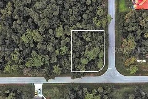 Land in Port Charlotte, Florida № 2164289 - photo 2
