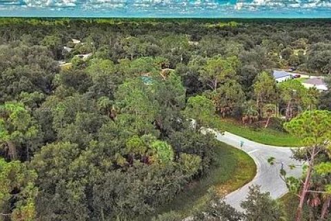 Land in Port Charlotte, Florida № 2164289 - photo 4