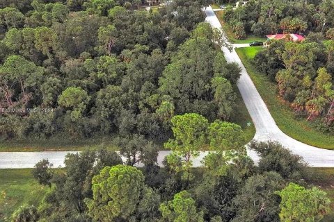Land in Port Charlotte, Florida № 2164289 - photo 6