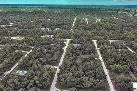 Land in Port Charlotte, Florida № 2164289 - photo 11