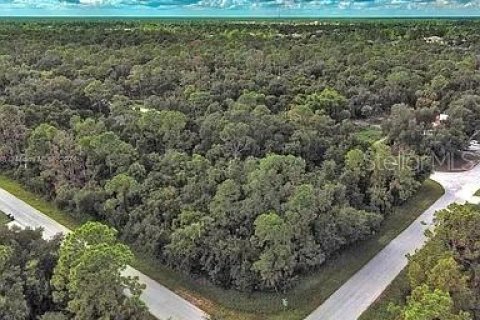Land in Port Charlotte, Florida № 2164289 - photo 7