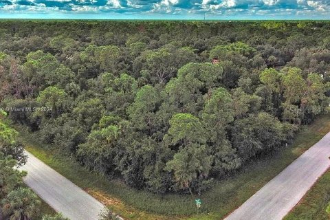 Land in Port Charlotte, Florida № 2164289