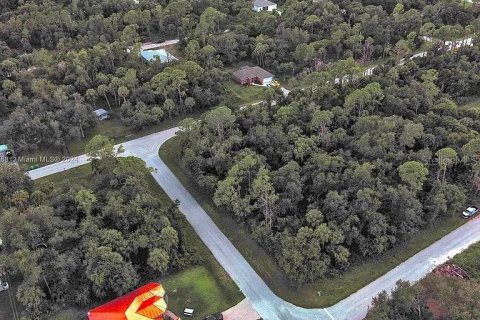Land in Port Charlotte, Florida № 2164289 - photo 12
