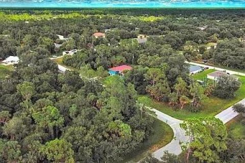 Land in Port Charlotte, Florida № 2164289 - photo 5
