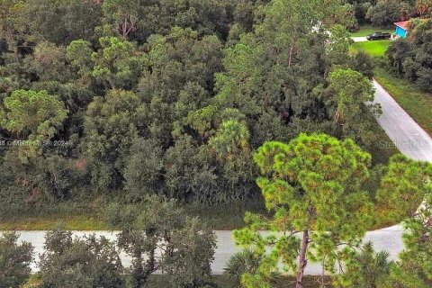 Land in Port Charlotte, Florida № 2164289 - photo 3