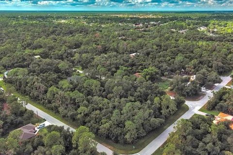 Land in Port Charlotte, Florida № 2164289 - photo 9