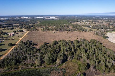 Land in Groveland, Florida № 1386564 - photo 12
