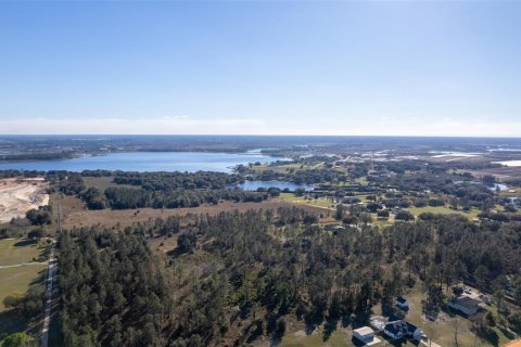 Land in Groveland, Florida № 1386564 - photo 7