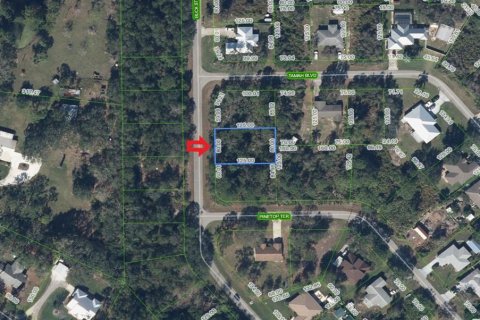 Land in Lake Placid, Florida № 2164192
