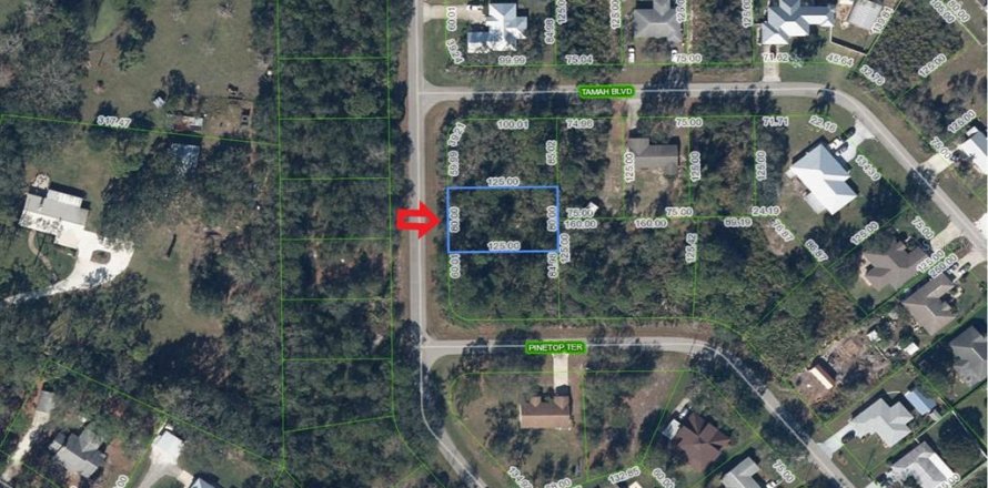 Land in Lake Placid, Florida № 2164192